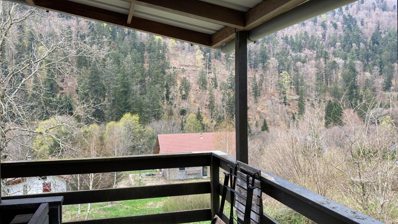 Le Chalet Du Coeur Mittlach エクステリア 写真