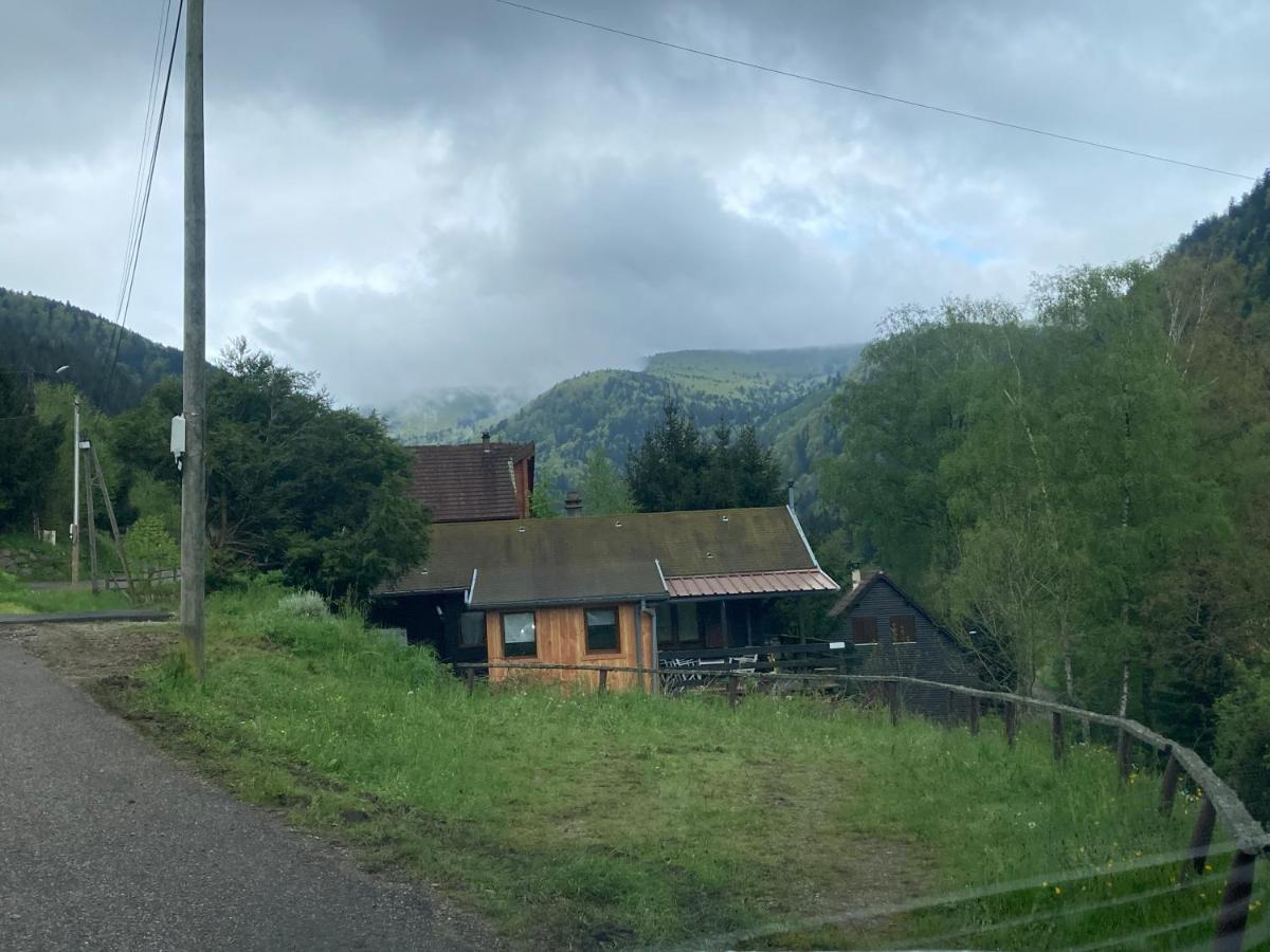 Le Chalet Du Coeur Mittlach エクステリア 写真