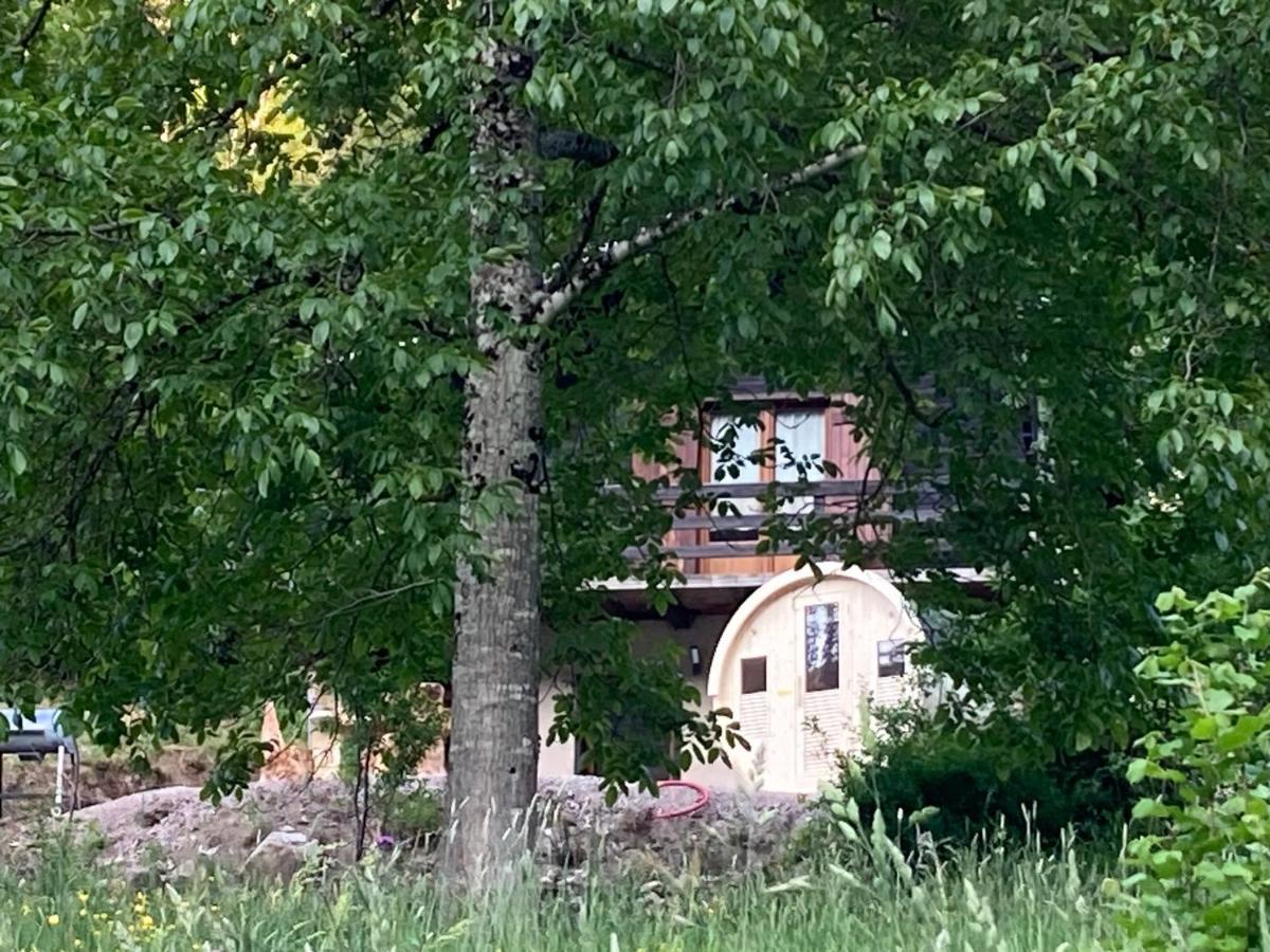 Le Chalet Du Coeur Mittlach エクステリア 写真