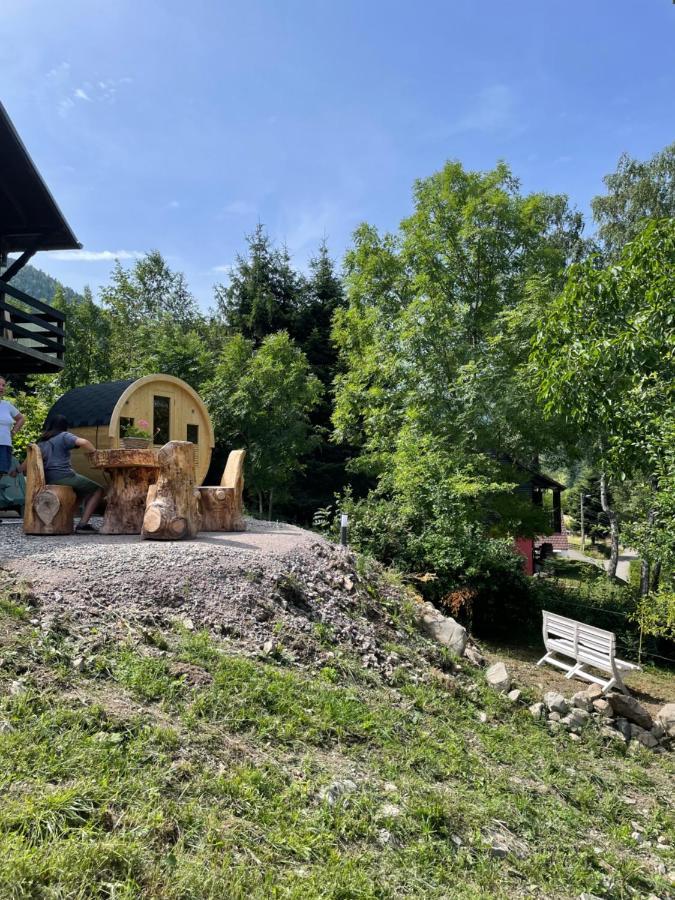 Le Chalet Du Coeur Mittlach エクステリア 写真